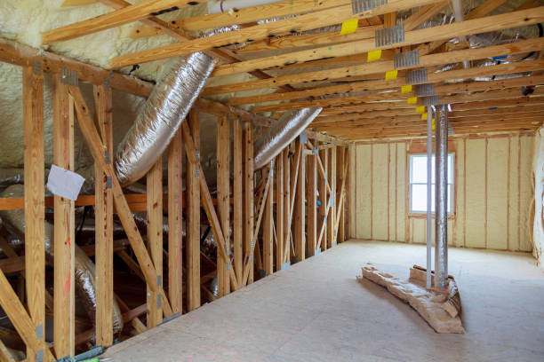 Best Eco-Friendly Insulation in Steelevle, IL