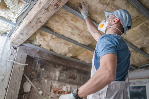 Types of Insulation We Offer in Steeleville, IL