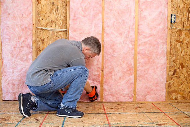 Best Energy Efficiency Insulation in Steelevle, IL