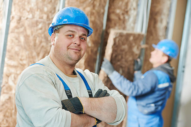  Steelevle, IL Insulation Contractor Pros
